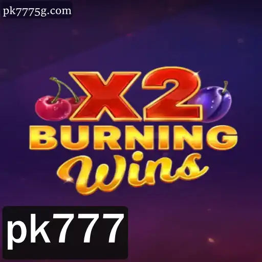 Descubra o Fascinante Mundo de BurningWinsX2 com pk777